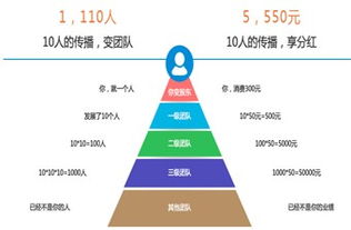 远丰电商 分销商城系统软件开发该怎么选择呢